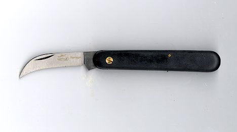 Kopulierhippe