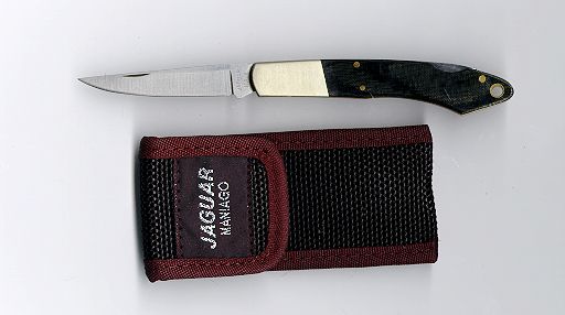 Fixiermesser